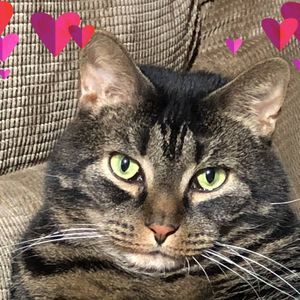 Meet your Posher, Angie